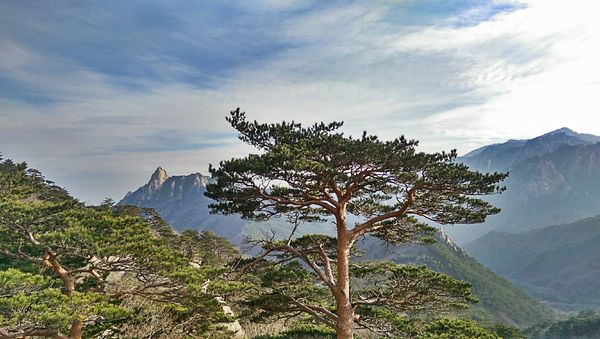 Impressions from Seoraksan National Park
